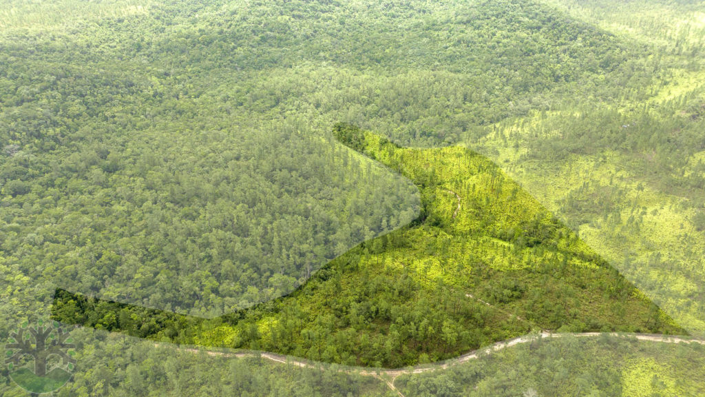 9.7 Acres of Prime Real Estate in Mountain Pine Ridge! Ceiba Realty & Development