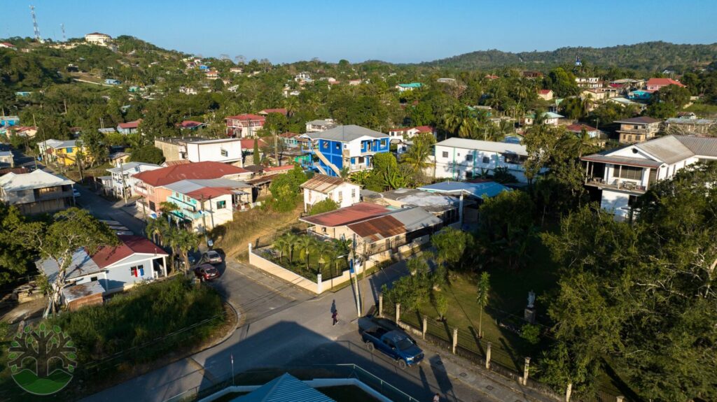 Drone Image Of Benque Property