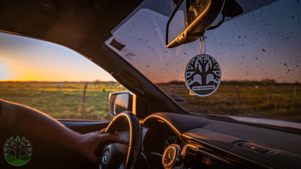 Ceiba Realty And Development, Man Driving A Car On farm