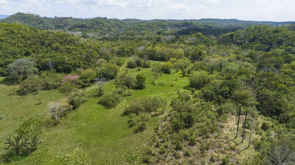 Two Acres View Stunning 2-Acre Homesites with River Views + Access! - Ceiba Realty ...