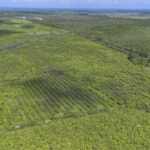 DJI_0666-HDR