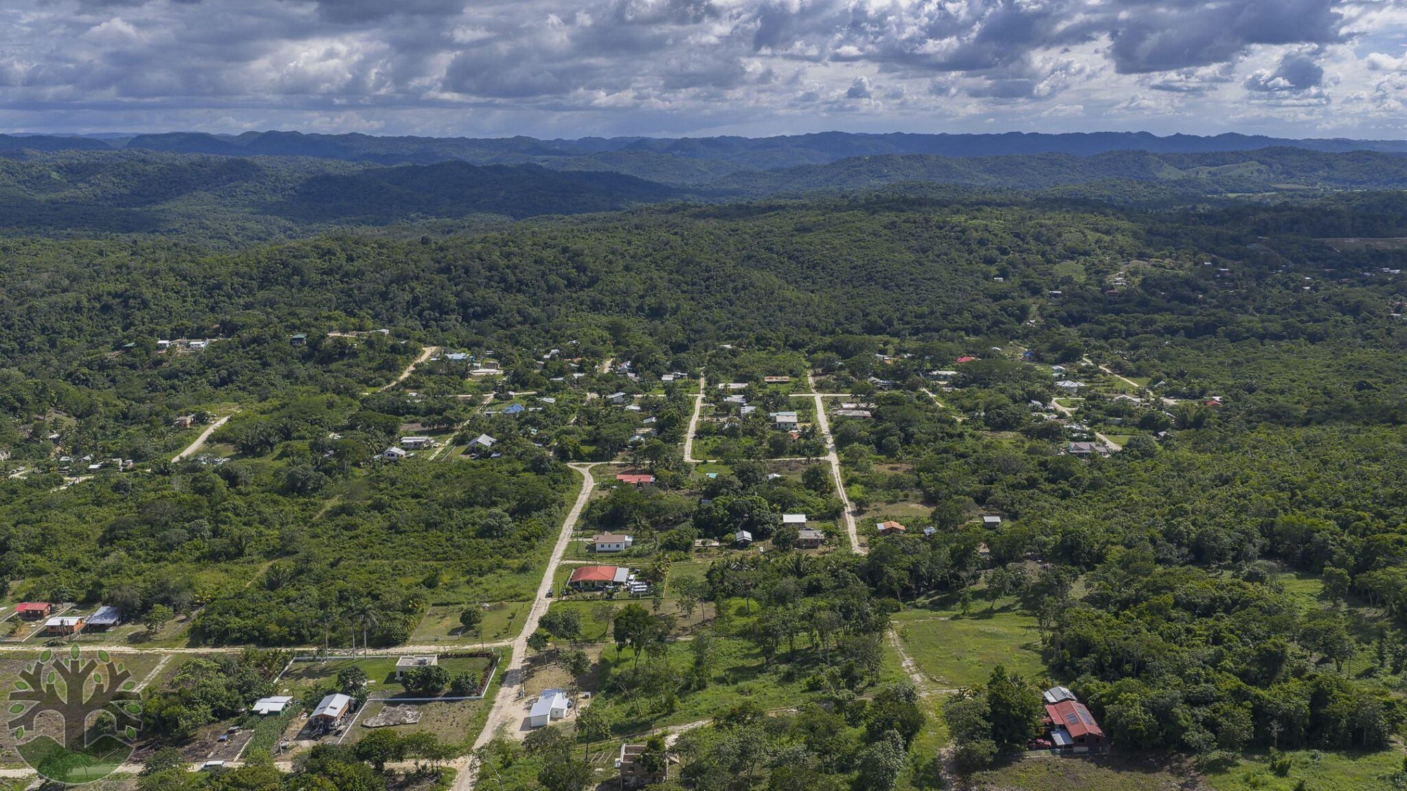 mosquito Ville