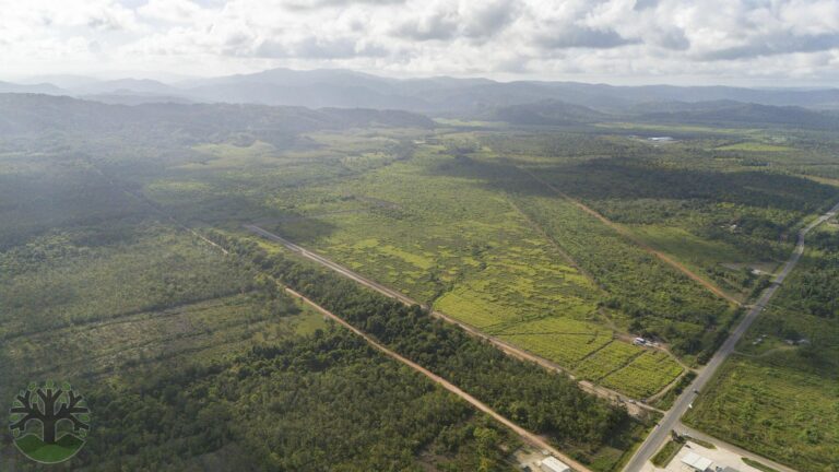 Belize Subdivisions Hopkins Grove Drone Image