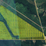 Belize Subdivisions Hopkins Grove