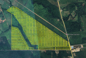 Belize Subdivisions Hopkins Grove